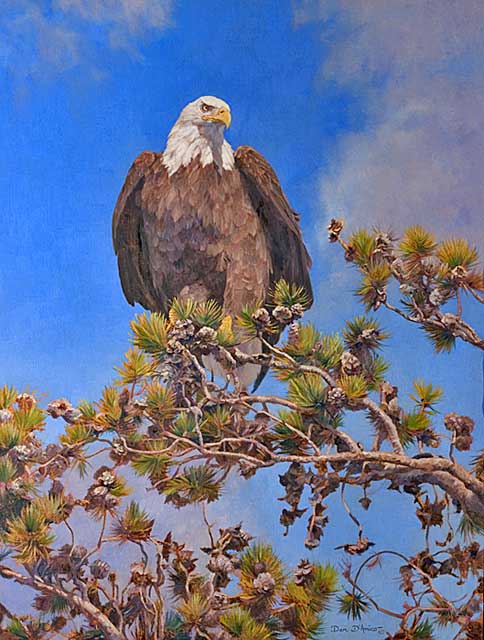 "Endangered" by Dan D'Amico, a bald eagle wildlife painting