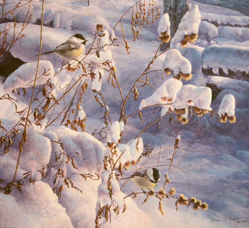 "Fresh Snow" by Dan D'Amico, a wildlife painting of chickadees