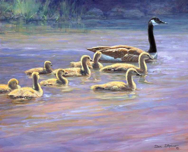 "Gliding Light" - Canada Geese by Dan D'Amico 16" x 20" oil on panel 