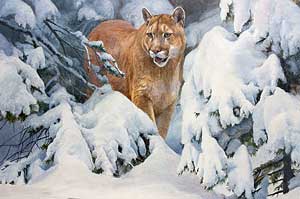 "On the Prowl" by Dan D'Amico, a wildlife painting of a cougar.
