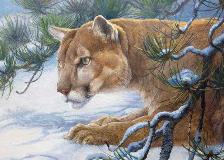 "Prowler" by Dan D'Amico, a wildlife painting of a cougar.