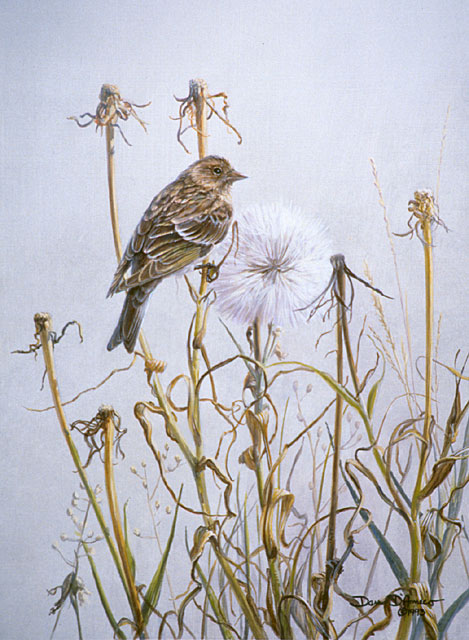 "Sisken and Thistle" by Dan D'Amico, a wildlife painting of a pine sisken