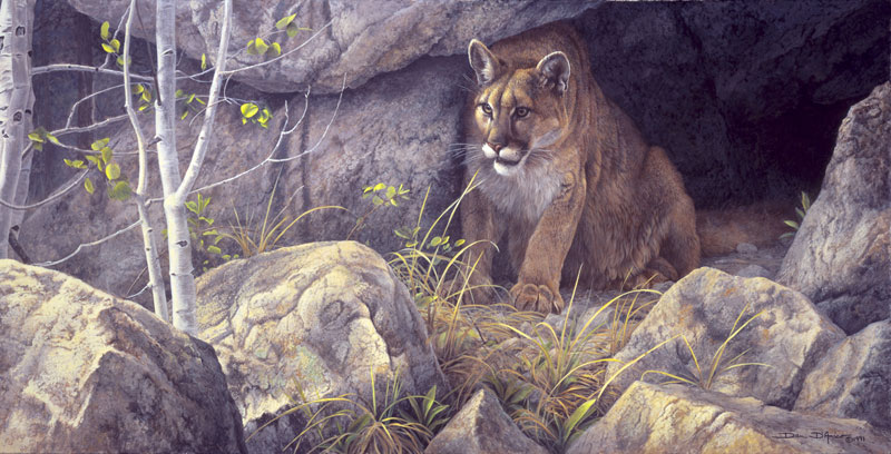 "The Waiting Game" by Dan D'Amico, a wildlife painting of a cougar.