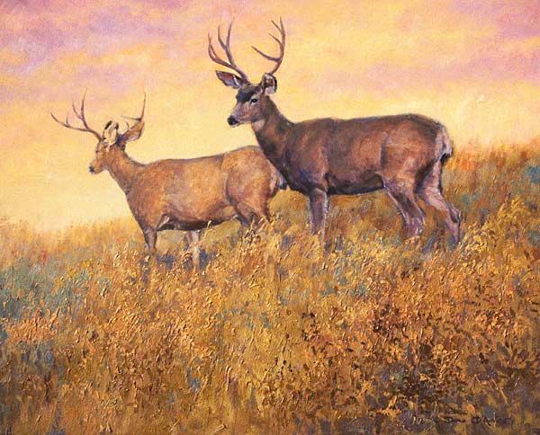 "Catching the Light" by Dan D'Amico, a wildlife painting.