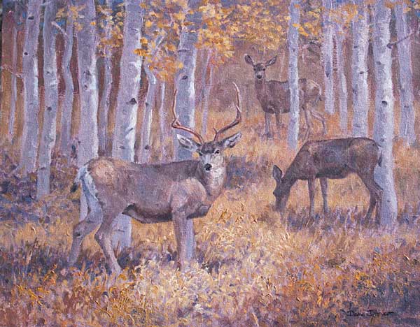 "Dappled Light" by Dan D'Amico, a wildlife painting of mule deer.