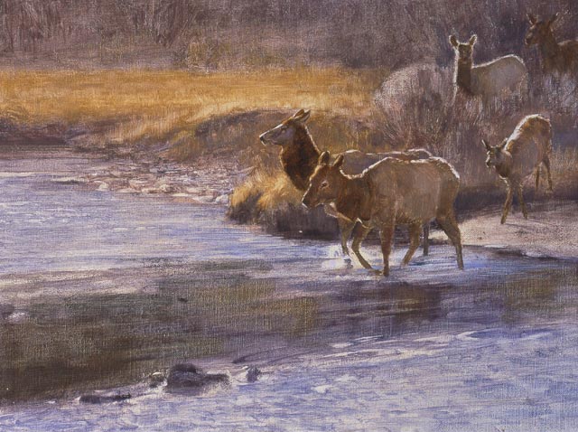 "Elk Crossing" by Dan D'Amico, a wildlife painting in oils.
