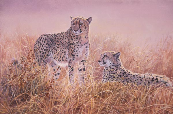 "Golden Dawn" by Dan D'Amico, a wildlife painting of cheetahs