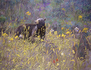 "Indian Paintbrush" by Dan D'Amico, a wildlife painting of a black bear in a meadow.