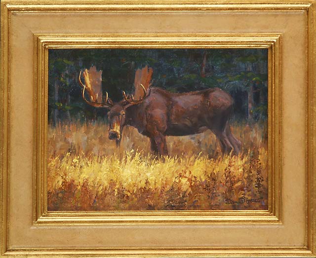 "Morning Shadows" by Dan D'Amico, a wildlife painting of a bull moose.