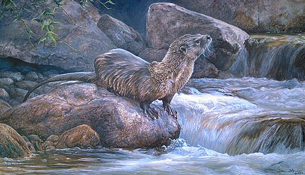 "On the Rocks" by Dan D'Amico, a wildlife painting of a river otter.