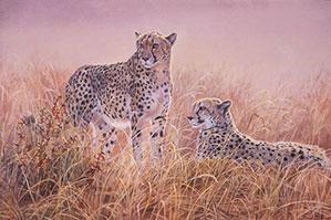 "Golden Dawn" by Dan D'Amico, a wildlife painting of African cheetahs.