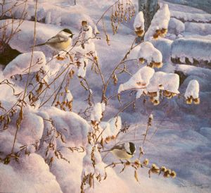 "Fresh Snow" by Dan D'Amico, a wildlife painting