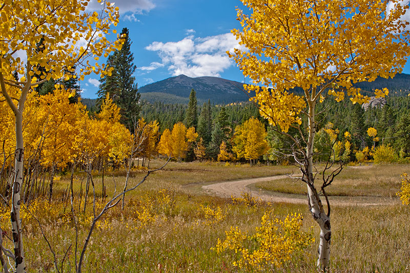 Meadow Mountain in Rocky Mountain National Park from artist Dan DAmico meadow.