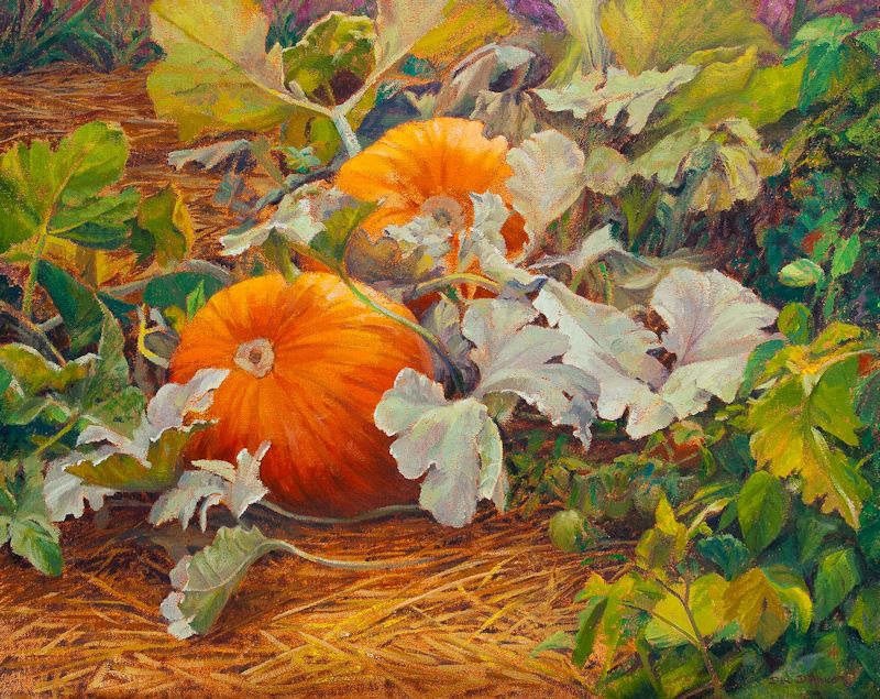 "The Pumpkin Patch" an oil painting by Dan D'Amico