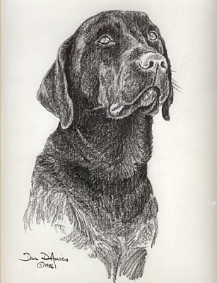 "Truffles" by Dan D'Amico, a pet portrait