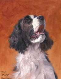 "Millie" a pet portrait by Dan D'Amico